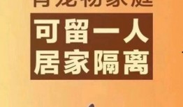 朝阳吃瓜群众一枚 抖音网红大鹅,朝阳吃瓜群众的潮流新宠